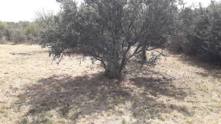 vendo 2 terrenos en PH - Imagen 2