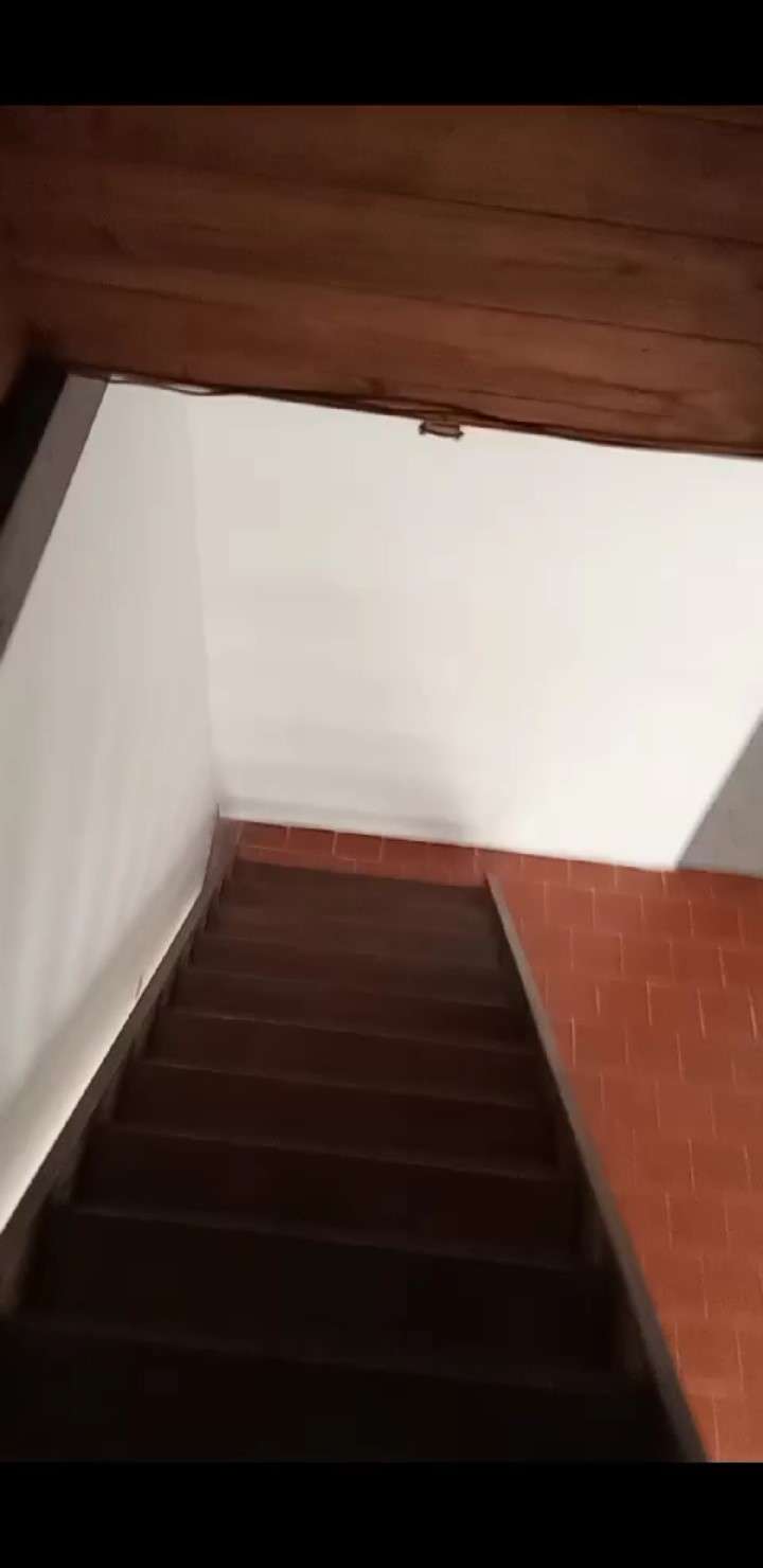 Casa Y Local Comercial En Venta Exelente Ubicacion - Casa en Venta en Necochea con 3 dorm., 220 m2 cubiertos y 400 m2 totales - imagen 11