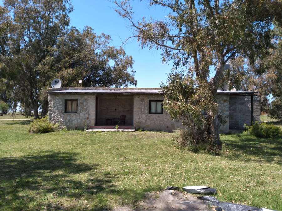 Excelente Casa en Tapalque en Venta · dueño directo · 4 o más dorm · 5 cocheras · 10,5 m² de lote - Imagen 3