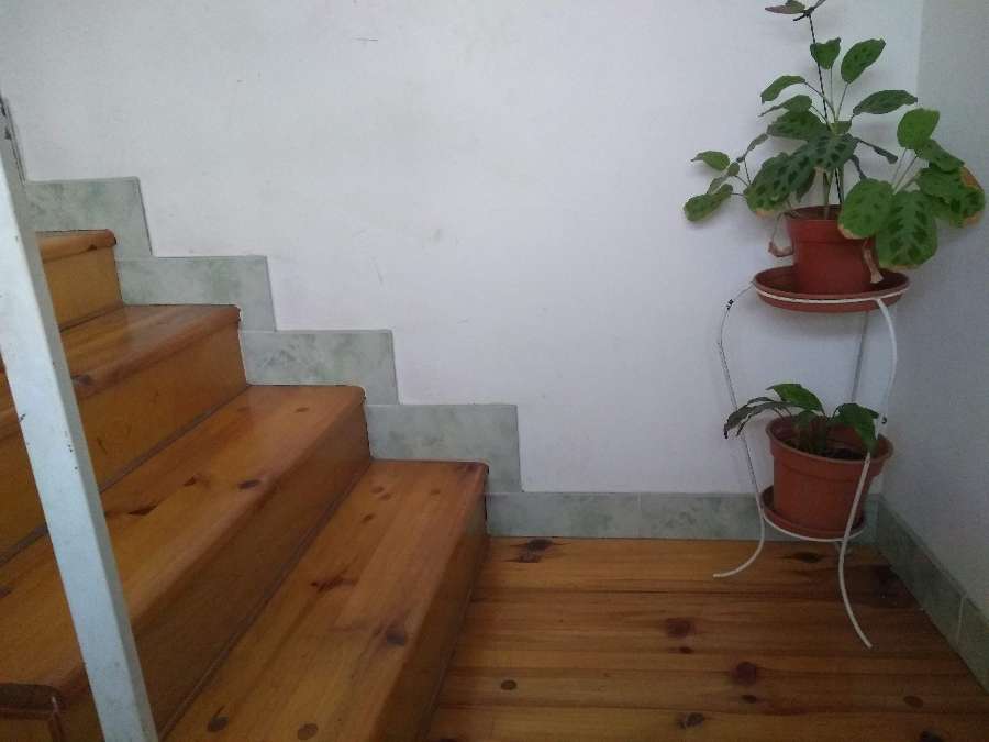 Vendo Ph Con Terraza - Casa en Venta en Avellaneda con 2 dorm., 3 amb. y 65 m2 cubiertos - imagen 11