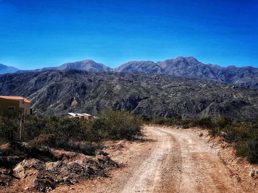 Campo en Lujan de Cuyo: en Venta · dueño directo - Imagen 2