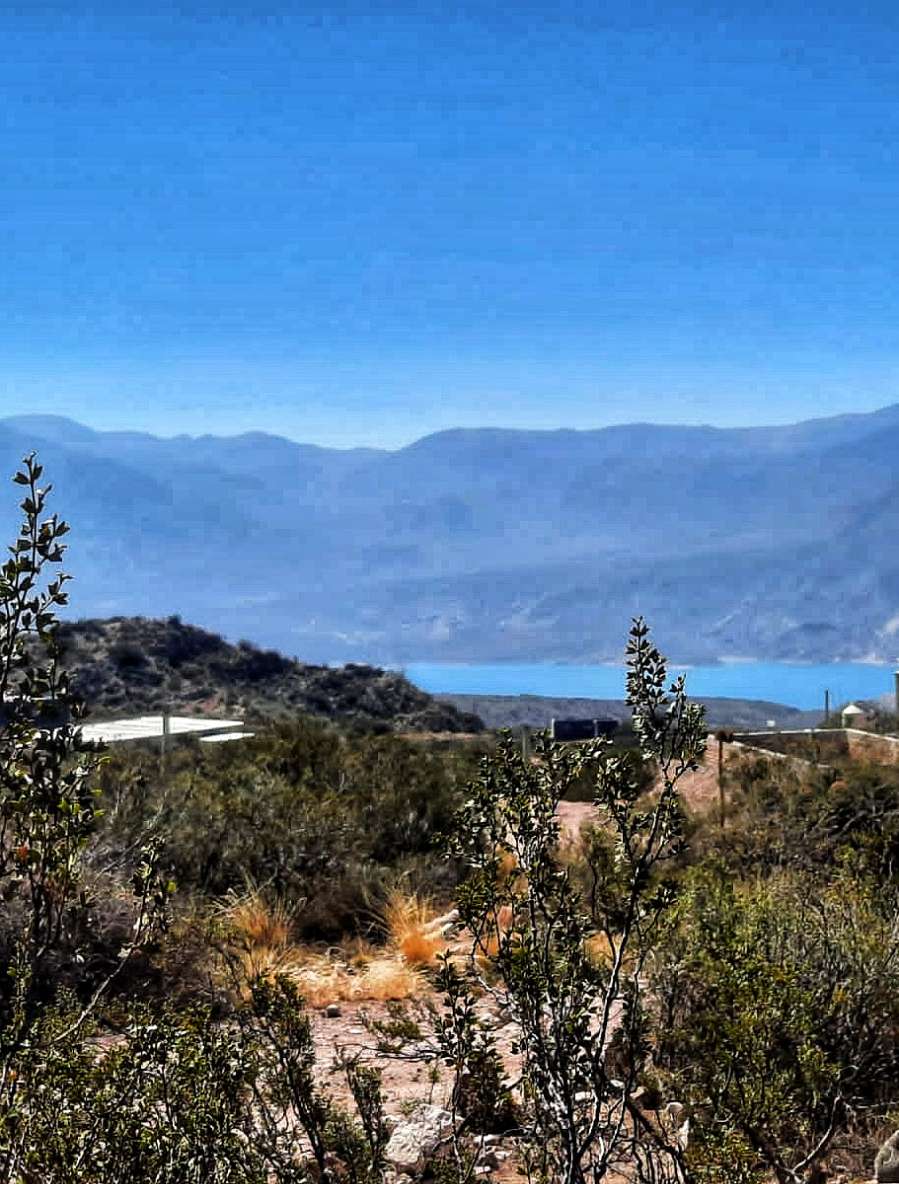Campo en Lujan de Cuyo: en Venta · dueño directo - Imagen 3