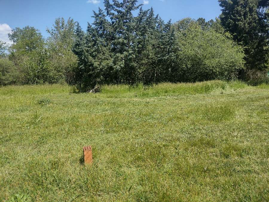 Terreno Con Distintas Mejoras 4420 Mts Cuadrados - Terreno en Venta en General Rodriguez con 4.420 m2 de terreno - imagen 9