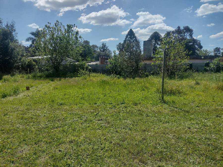 Son 6 Terrenos 4 De 18 X 40 Y 2 De 38 X 20 - Terreno en Venta en General Rodriguez con 720 m2 de terreno - imagen 7