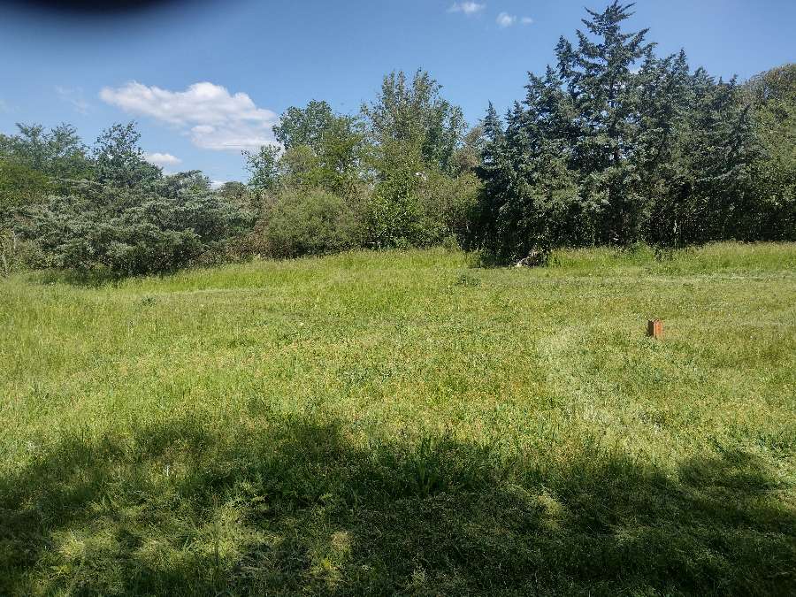 Son 6 Terrenos 4 De 18 X 40 Y 2 De 38 X 20 - Terreno en Venta en General Rodriguez con 720 m2 de terreno - imagen 9