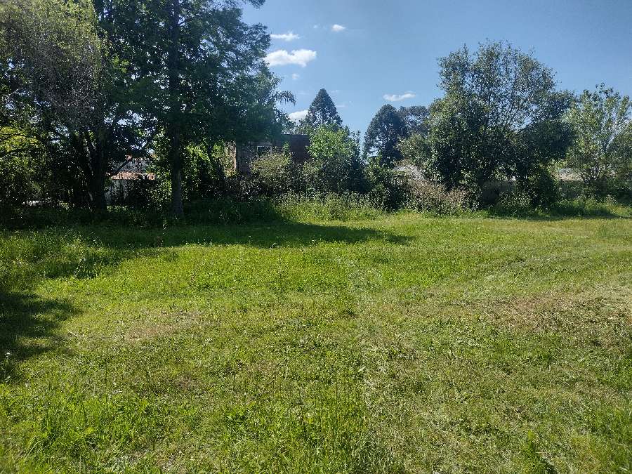 Son 6 Terrenos 4 De 18 X 40 Y 2 De 38 X 20 - Terreno en Venta en General Rodriguez con 720 m2 de terreno - imagen 11