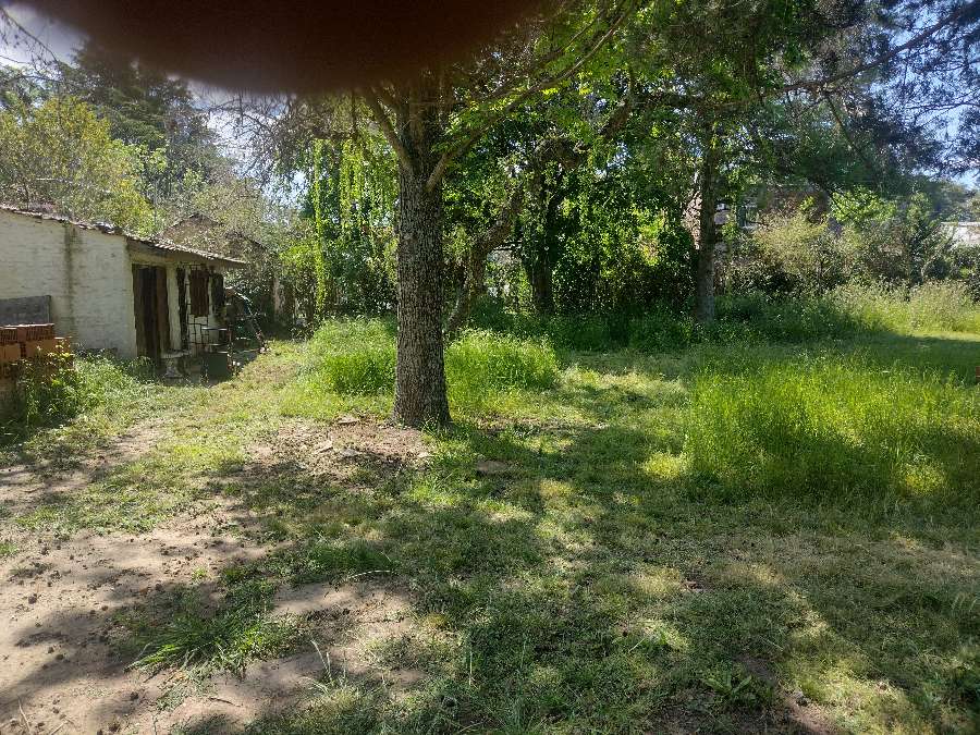 Son 6 Terrenos 4 De 18 X 40 Y 2 De 38 X 20 - Terreno en Venta en General Rodriguez con 720 m2 de terreno - imagen 12