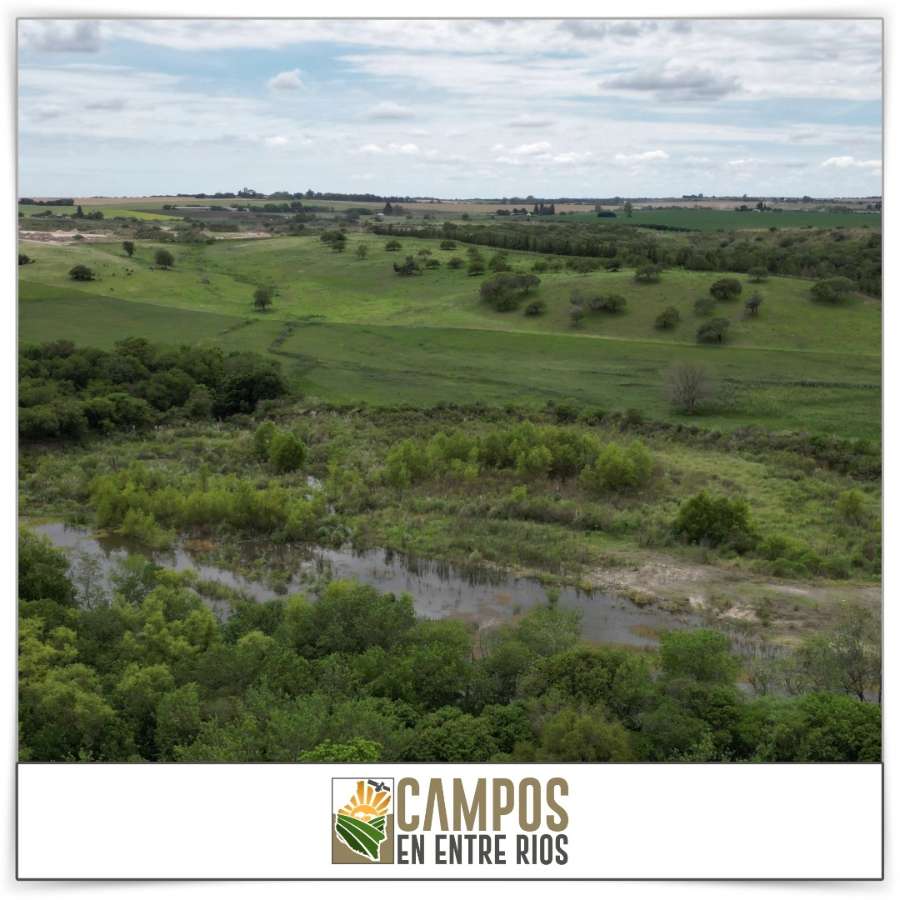 Campo MIXTO en venta. 12 ha. La Juanita. Diamante. Entre Rios - Imagen 2