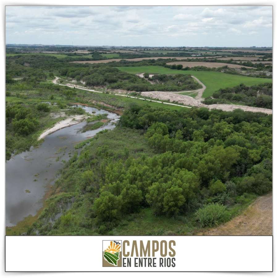 Campo MIXTO en venta. 12 ha. La Juanita. Diamante. Entre Rios - Imagen 3