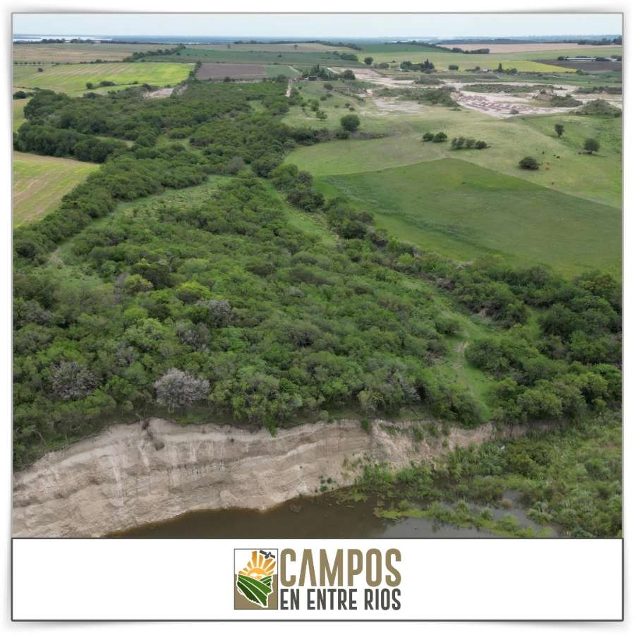 Campo MIXTO en venta. 12 ha. La Juanita. Diamante. Entre Rios - Imagen 4