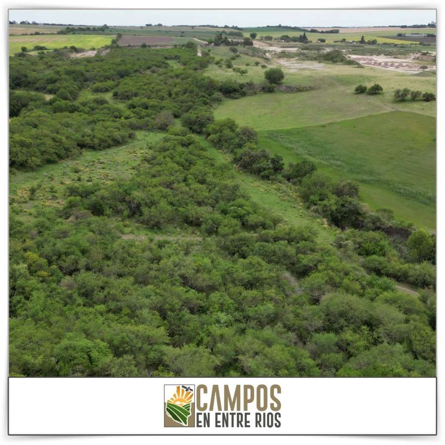 Campo MIXTO en venta. 12 ha. La Juanita. Diamante. Entre Rios - Imagen 5