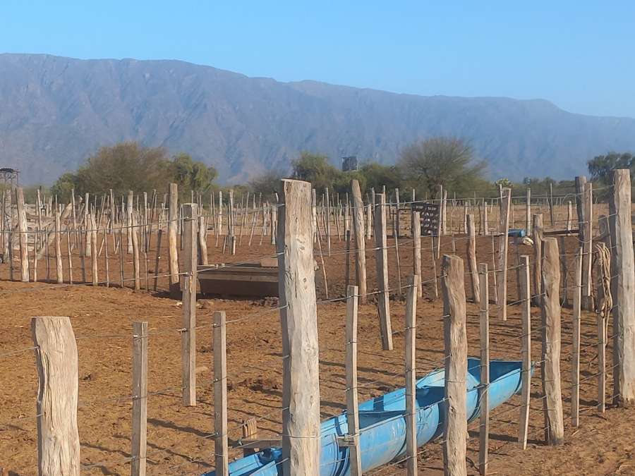 CAMPO AGRICOLA GANADERO EN CATAMARCA - Imagen 3