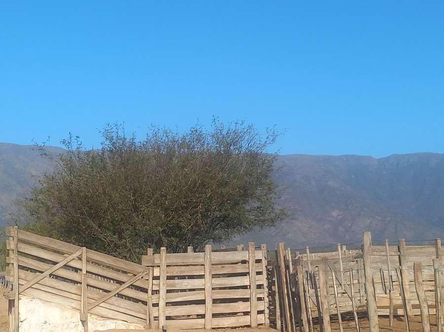 CAMPO AGRICOLA GANADERO EN CATAMARCA - Imagen 4