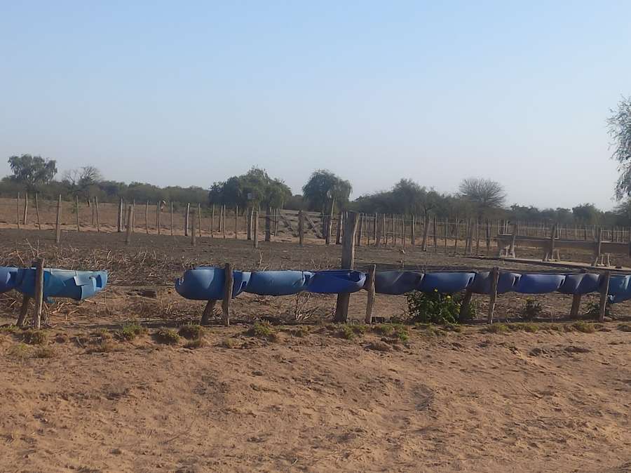 Campo Agricola Ganadero En Catamarca - Campo en Venta en San Fernando del Valle de Catamarca con Mixto y 1.450 ha - imagen 7