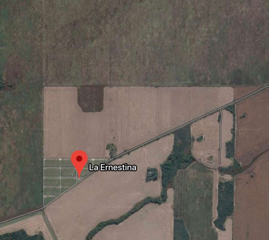 Se alquila parcela de campo - Imagen 1