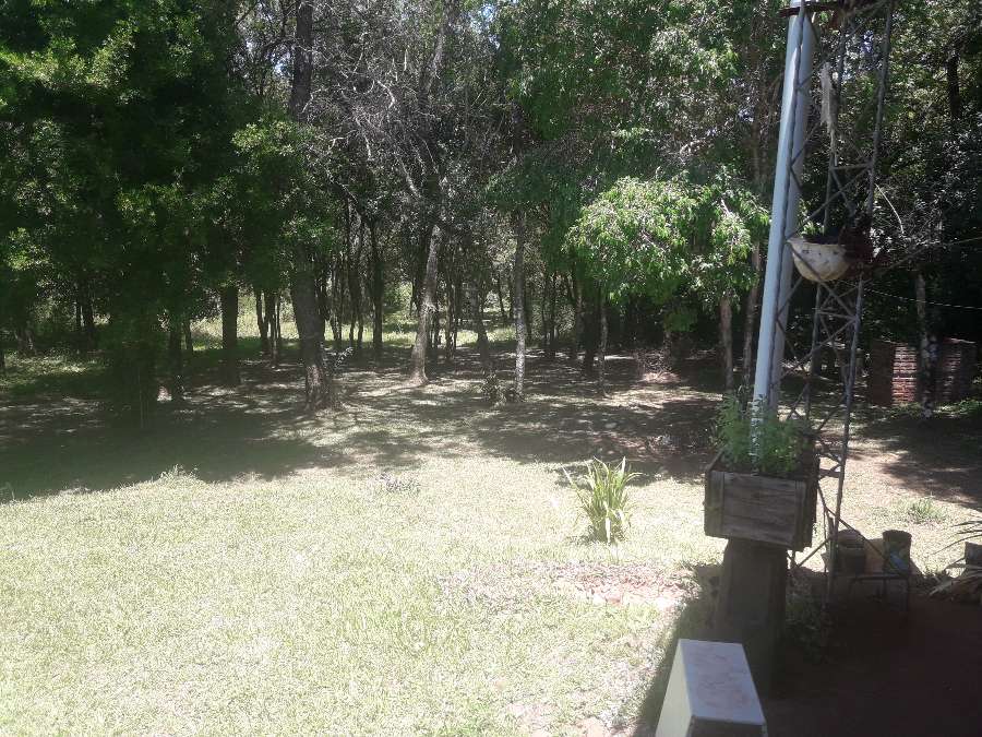 HERMOSA CASA C/ 1 HECTAREA CERRO AZUL EN R 14 - Imagen 5