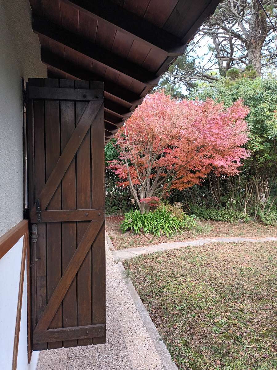 Entorno De Bosque En Zona Residencial - Casa en Venta en Villa Gesell con 3 dorm., 4 amb., 85 m2 cubiertos y 503 m2 totales - imagen 9
