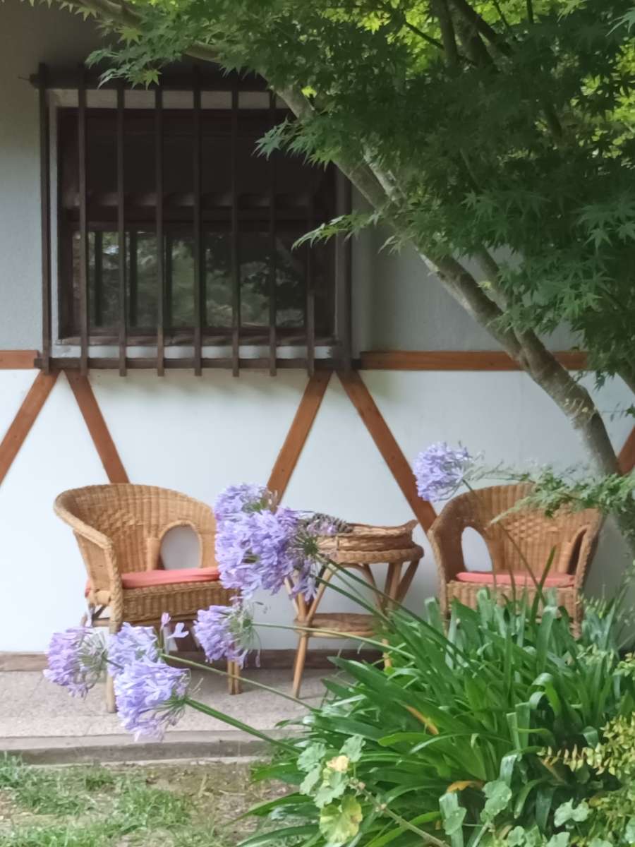 Entorno De Bosque En Zona Residencial - Casa en Venta en Villa Gesell con 3 dorm., 4 amb., 85 m2 cubiertos y 503 m2 totales - imagen 25