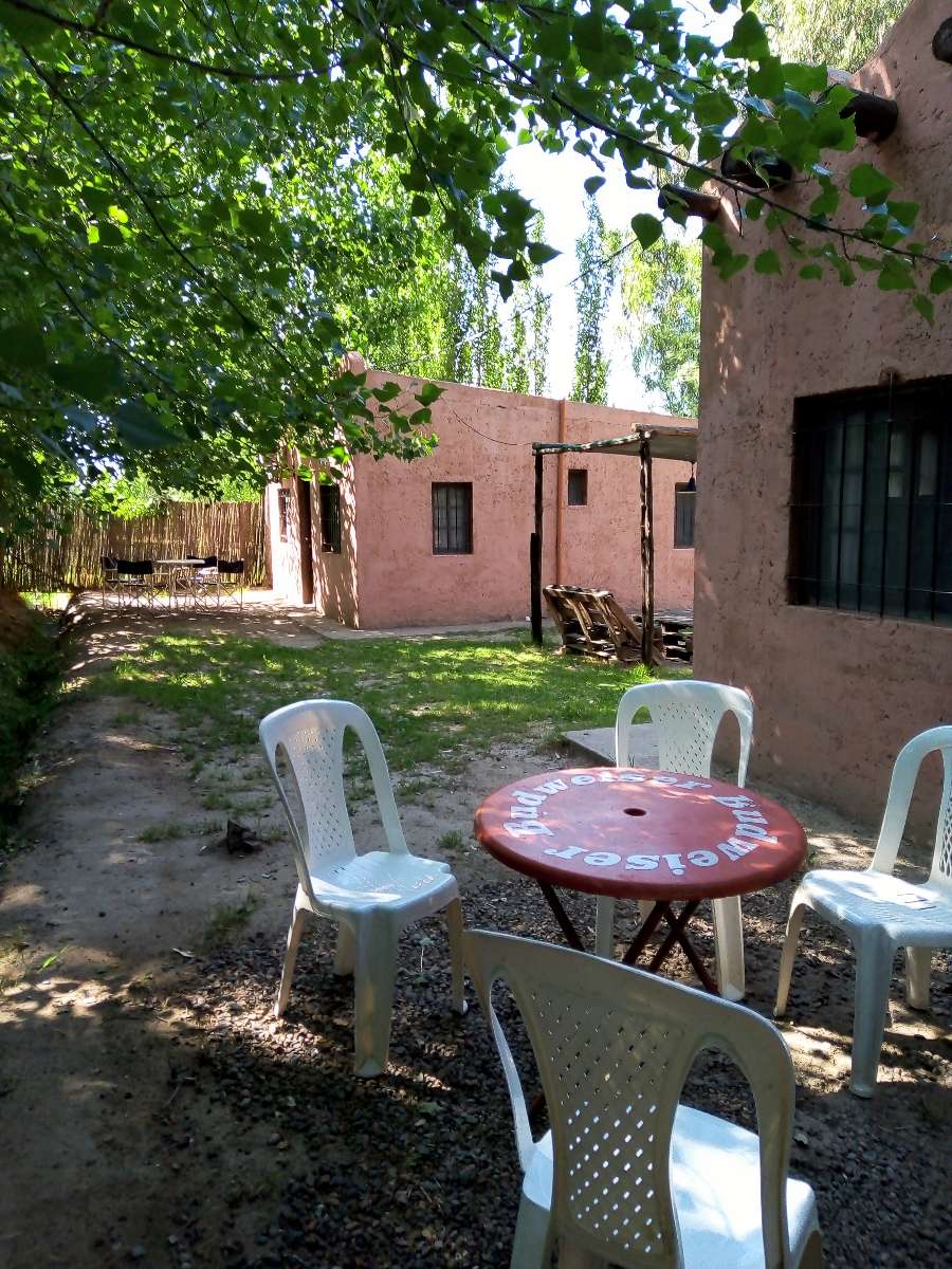 Oportunidad: Campo en Temporario en Lujan de Cuyo · dueño directo · 2 ha - Imagen 2