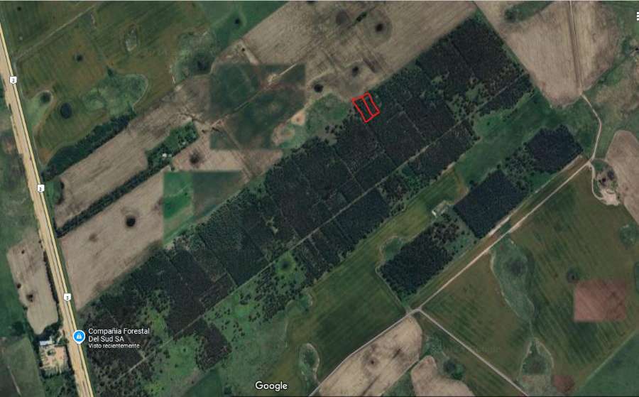Vendo Dos (2) Terrenos Colindantes De 5000m² (50x100m C/u) - Imagen 2