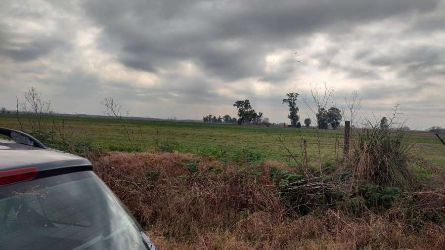 Campo en venta en Marcos Paz, Buenos Aires, 430 ha y galpón - Imagen 1