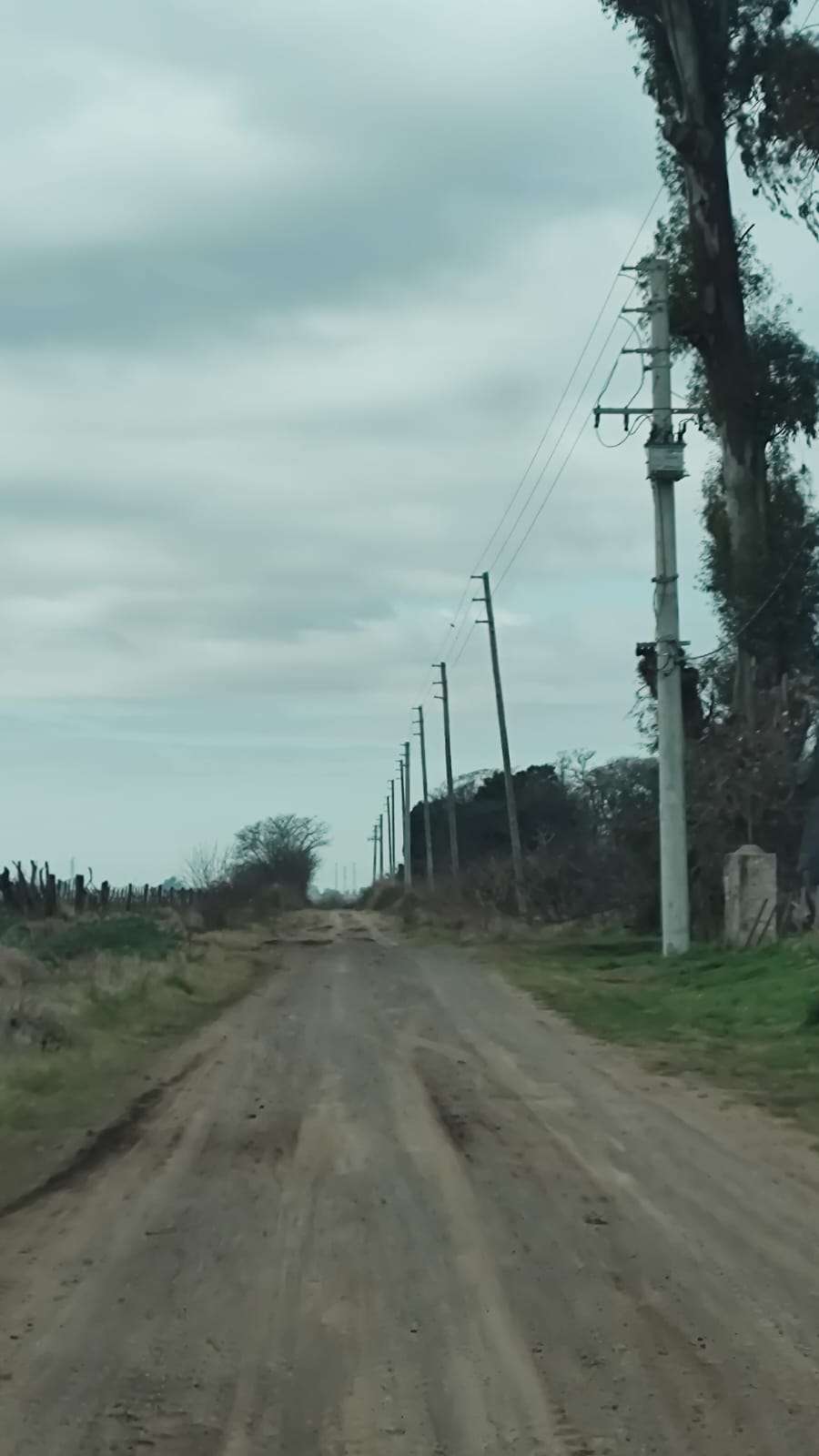 Campo en venta en Marcos Paz, Buenos Aires, 430 ha y galpón - Imagen 4