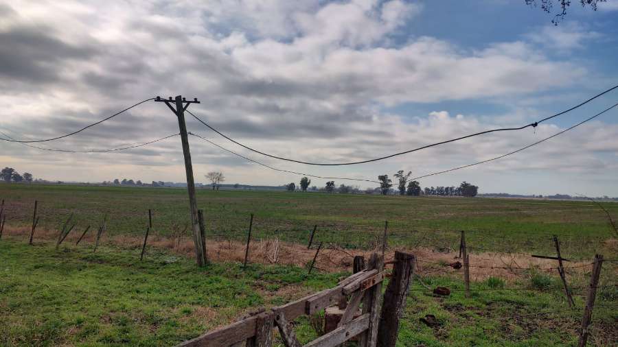 Campo en Venta Julian Aguirre Al 1100, Marcos Paz, Buenos Aires, Marcos Paz - Imagen 7