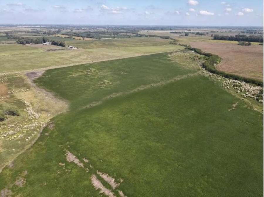 Campo en Venta Julian Aguirre Al 1100, Marcos Paz, Buenos Aires, Marcos Paz - Imagen 17