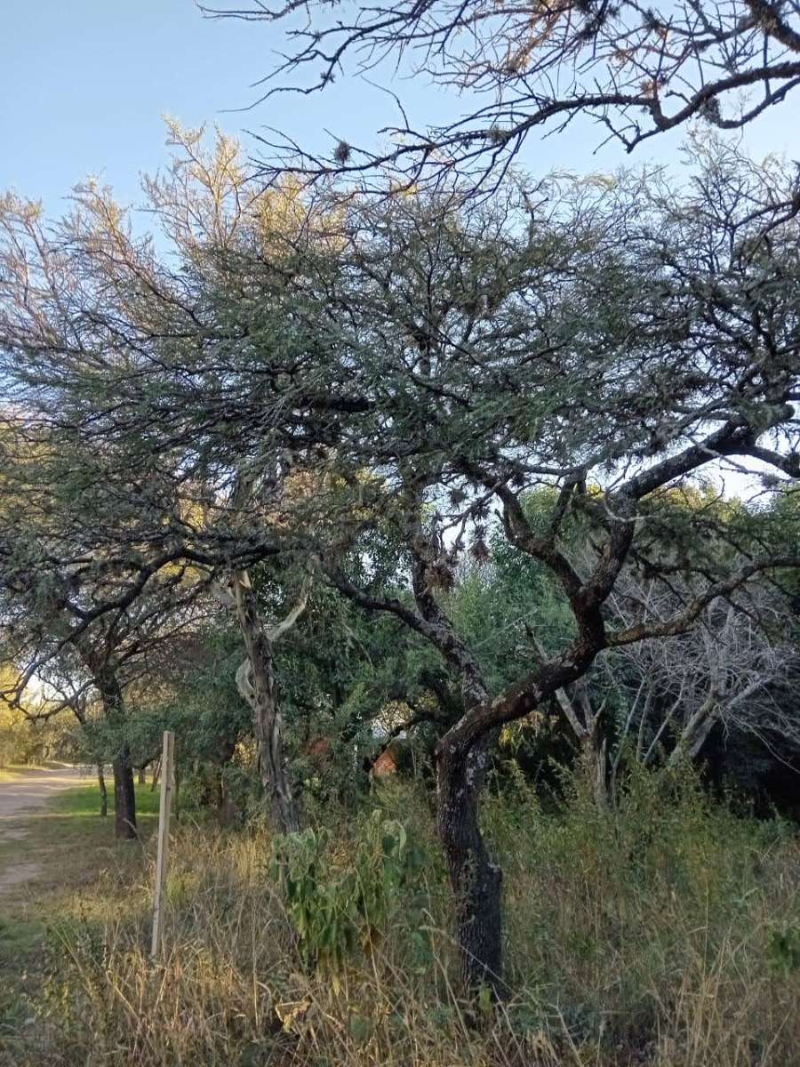 Terreno en venta en Villa Ciudad del Parque, Córdoba, 778 m² - Imagen 2
