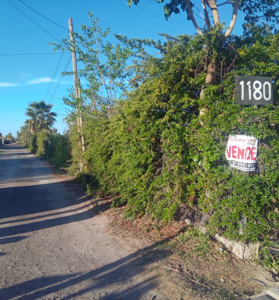 Lote en Venta Mitre 1180 La Primavera, Mendoza - Imagen 1