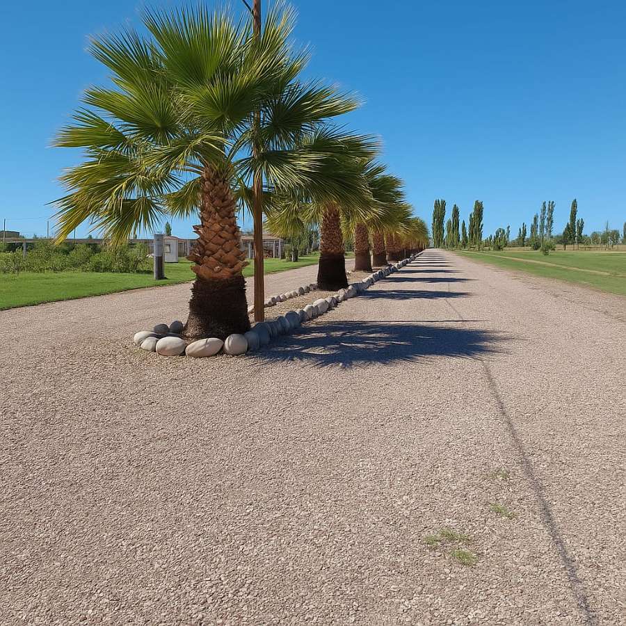 Terreno disponible en San Rafael · 800 m² de lote · barrio privado · dueño directo - Imagen 1