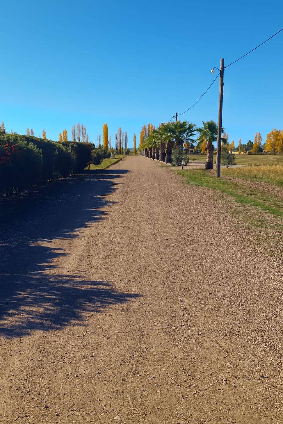 Terreno En Venta En San Rafael, Mendoza, 800 M2 En Barrio Privado - Terreno en Venta en San Rafael con 800 m2 de terreno - imagen 2