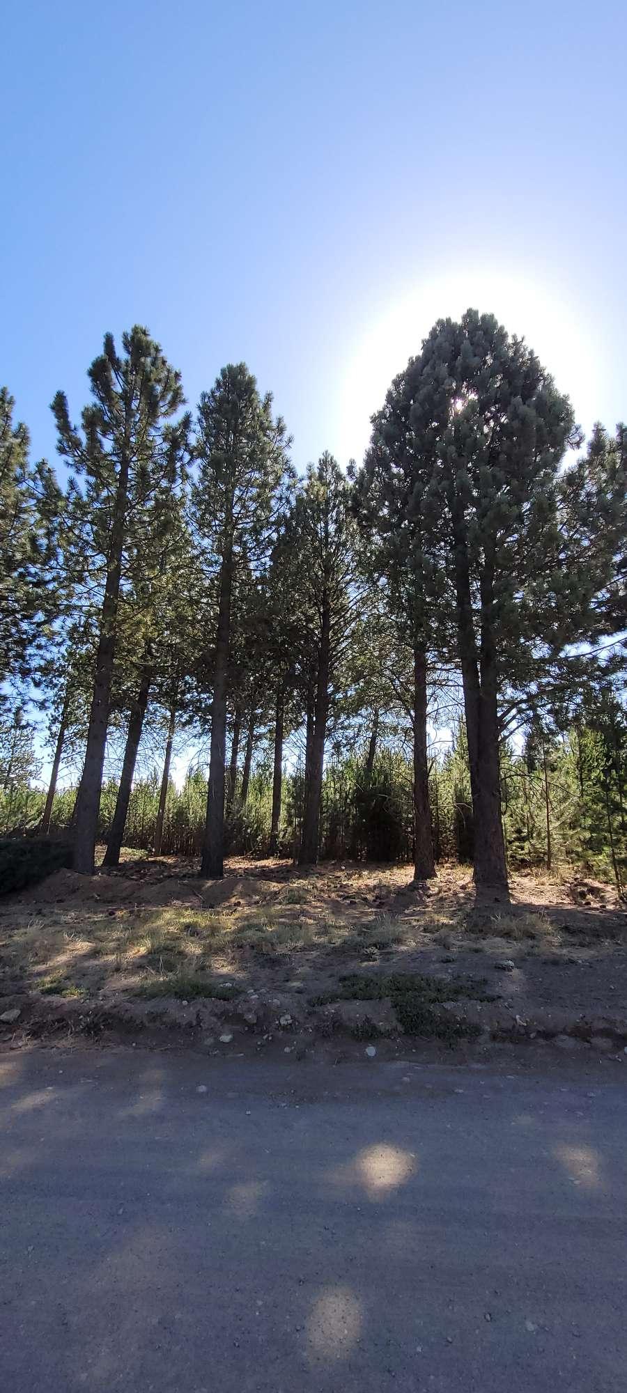 Terreno en venta en Bariloche, CLUB DE CAMPO DOS VALLESRío Negro, lote de 1000 m² - Imagen 1