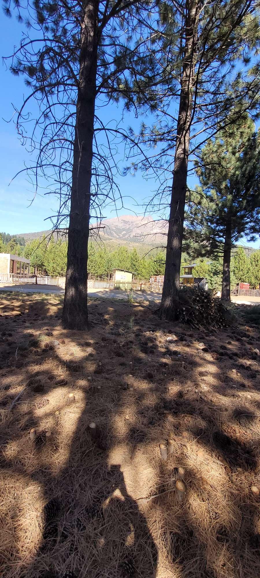 Terreno En Venta En Bariloche, Club De Campo Dos Vallesro Negro, Lote De 1000 M - Terreno en Venta en Bariloche con 1.000 m2 de terreno - imagen 3