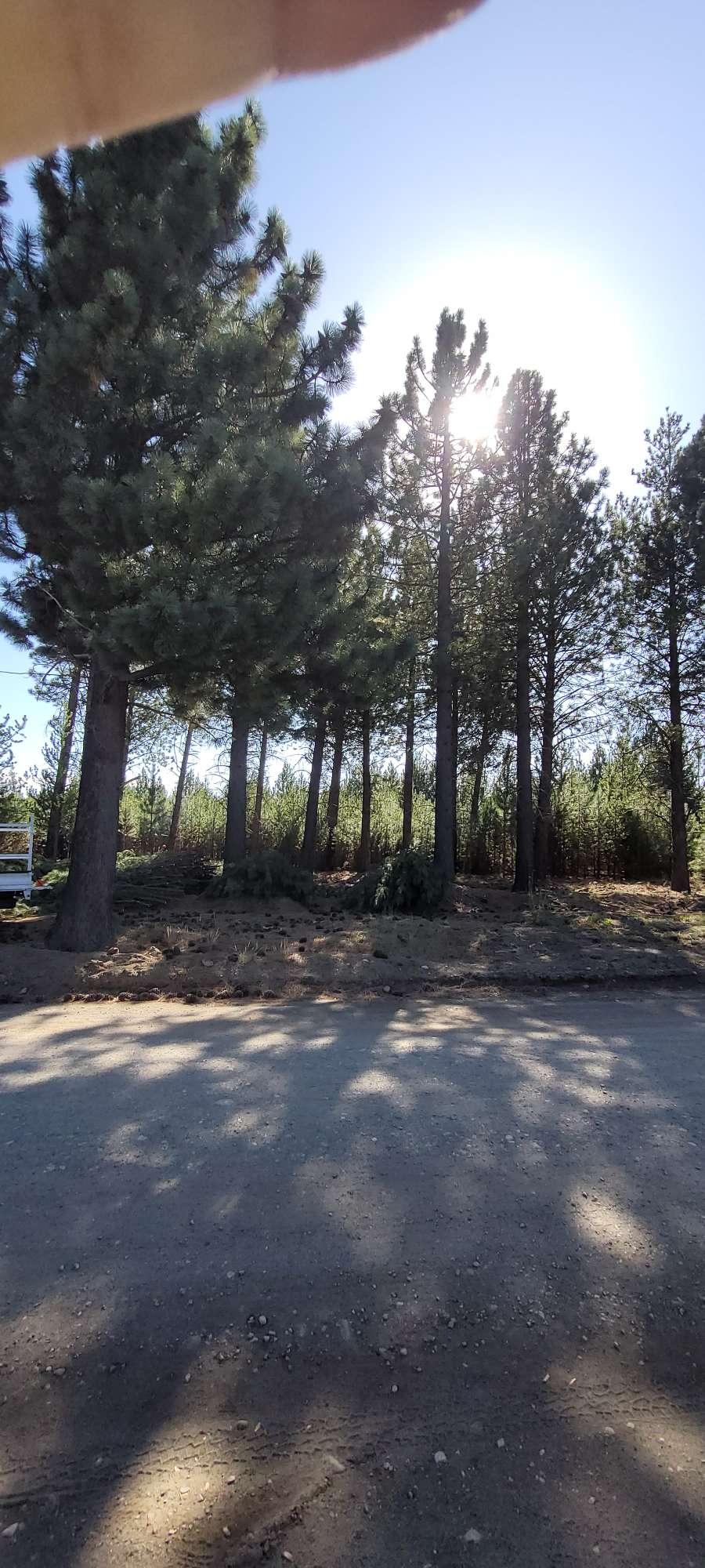 Terreno En Venta En Bariloche, Club De Campo Dos Vallesro Negro, Lote De 1000 M - Terreno en Venta en Bariloche con 1.000 m2 de terreno - imagen 5
