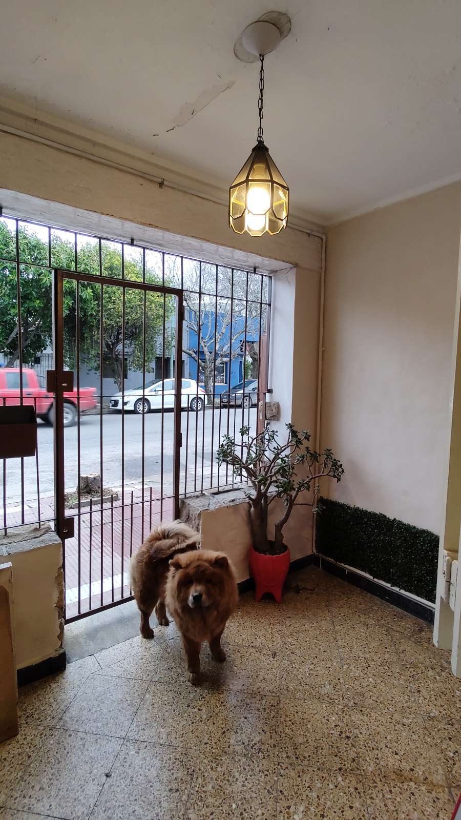 Casa En Venta En Barrio Pompeya, Mar Del Plata, 4 Ambientes Con Garage - Casa en Venta en Mar del Plata con 3 dorm., 4 amb., 128 m2 cubiertos y 110 m2 totales - imagen 7