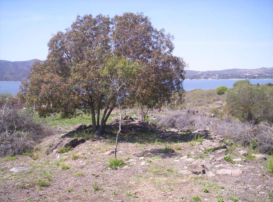 Terreno en Villa Carlos Paz en Venta · frente 30 m · largo 108 m · 3,18 m² de lote · dueño directo - Imagen 1