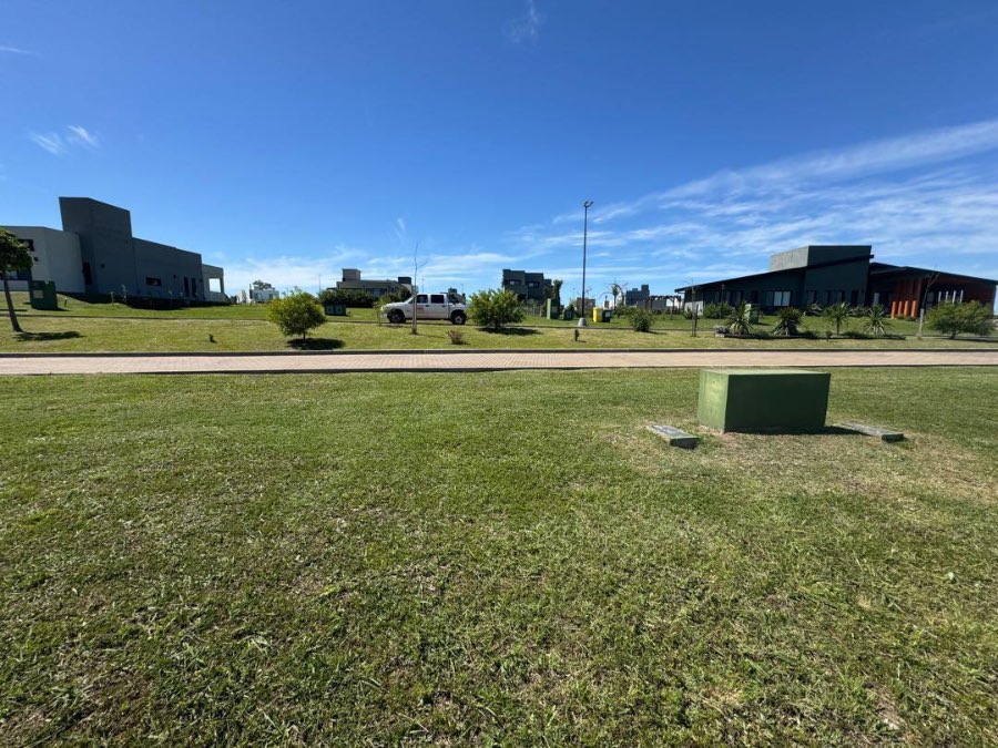 Campo en venta en Concepción del Uruguay, Entre Ríos, 500 Ha - Imagen 2