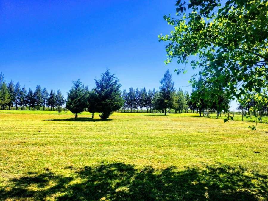 Terreno En Venta En Fincas De San Vicente, San Vicente, Frente Al Golf - Terreno en Venta en San Vicente con 1.800 m2 de terreno - imagen 5