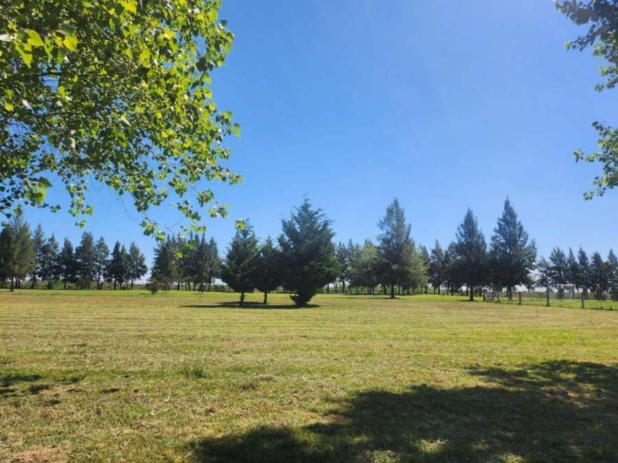 Terreno En Venta En Fincas De San Vicente, San Vicente, Frente Al Golf - Terreno en Venta en San Vicente con 1.800 m2 de terreno - imagen 6