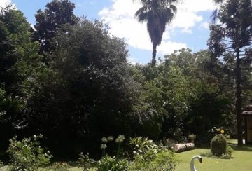 Casa Quinta en Venta San Luis Al 2500, La Reja - Imagen 10