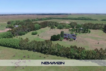 Estancia en Venta Ruta 11 Km360, San Clemente del Tuyu - Imagen 8