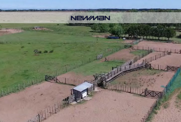 Campo en Venta en San Clemente del Tuyu con 336 ha - Imagen 5