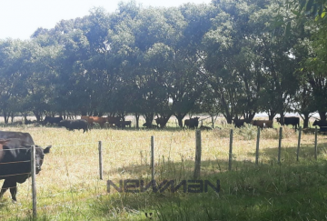 Campo en Venta en San Clemente del Tuyu con 336 ha - Imagen 4