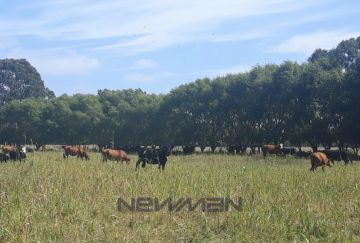 Campo en Venta en San Clemente del Tuyu con 336 ha - Imagen 2