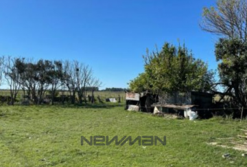 Campo en Venta A 20 Km De La Ruta 11 (km 384), San Clemente del Tuyu - Imagen 10