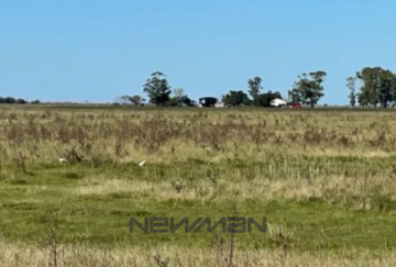 Campo en Venta A 20 Km De La Ruta 11 (km 384), San Clemente del Tuyu - Imagen 6