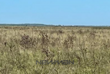 Campo en Venta en San Clemente del Tuyu con 150 ha - Imagen 3