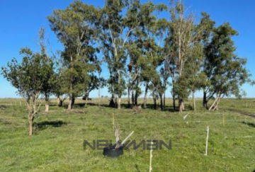 Campo en Venta A 20 Km De La Ruta 11 (km 384), San Clemente del Tuyu - Imagen 8