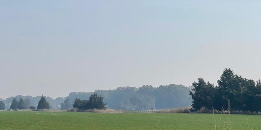 Campo en Venta en Bragado con 660 ha - imagen 8